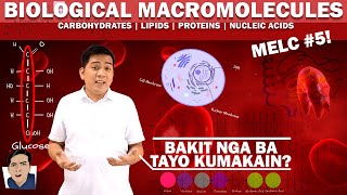 Biological Macromolecules  Carbohydrates Lipids Proteins Nucleic Acids  ScienceKwela [upl. by Elwin15]