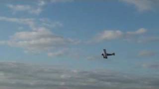 SE5a and Fokker DVII in flight [upl. by Zea]