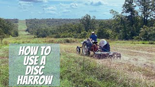 How To Disc Harrow A Field On A 1952 Ford 8N Tractor Deer Food Plot 2021 Whitetail Deer Season [upl. by Rowley]