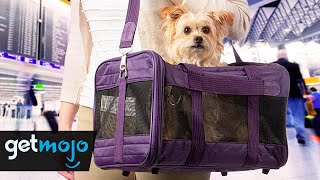 Top 4 Dog Carriers For Transporting Your Pets [upl. by Gottfried]