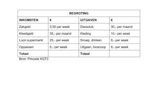 Suvanomics  Een begroting maken [upl. by Andra633]