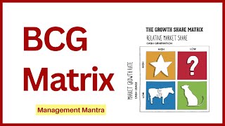 BCG Matrix in Hindi Examples BCG Matrix Model Strategic Management [upl. by Cherilyn]