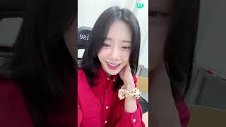 먕  Dreamcatcher Weverse LIVE SUB 241018 [upl. by Blumenthal]