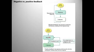 02  Chapter 01 Part B  Physiology Themes Part 2 [upl. by Ilamad]