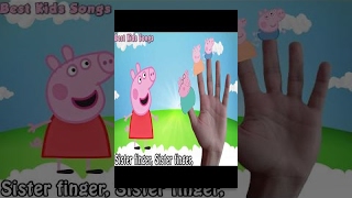 Peppa Pig  Finger Family Song Collection  Nursery Rhymes Peppa Pig Finger Family for Kids [upl. by Nolyad]