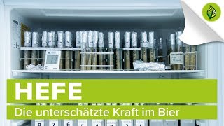 Rohstoff Hefe Die unterschätzte Kraft im Bier [upl. by Ekenna]