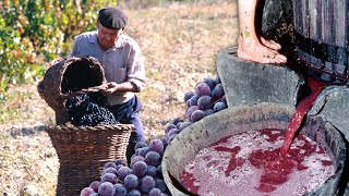 Los VINATEROS Elaboración de VINO CASERO con técnicas ancestrales para el CONSUMO FAMILIAR [upl. by Grissom191]