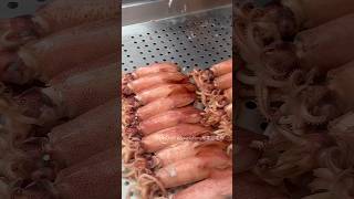 🦑 Very Delicious Boiled Neritic Squid 甘甜美味的清燙小卷 streetfood seafood squid shorts [upl. by Adon]