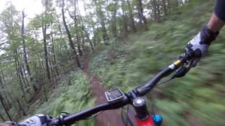 2018 Giant Trance 2 Review First Mtn Ride [upl. by Lorie]