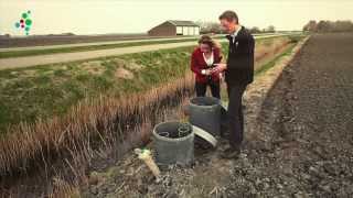 Kennis voor Klimaat TV De Waterbuffer [upl. by Ellynad]