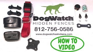 DogWatch How to replace collar strap using contact posts DogWatch Hidden Fence [upl. by Ijuy]