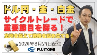 【ドル円・金・白金】ドル円は節目に注目！NY金はトップ形成の時間帯、JPX金は25日EMAが節目！NY白金はトップ形成、JPX白金はボックス相場形成！？＜テクニカル分析でみた見通しと戦略＞ [upl. by Einej]