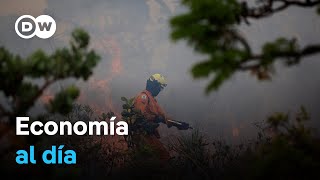 Los incendios merman la cosecha de café en Brasil [upl. by Klaus]