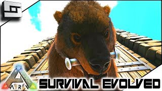 Taming A Dire Bear ARK Survival Evolved  E12  Ark Ragnarok Map [upl. by Beera]