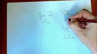 Chemistry 3 Acylation of Enolates Claisen Condensation [upl. by Amekahs]