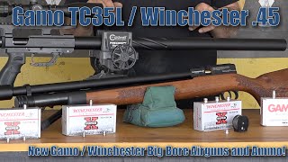 More is Freaking MORE  Gamo  Winchester gives Airgunners MORE in Big Bore Airguns for 2019 [upl. by Adnilav]