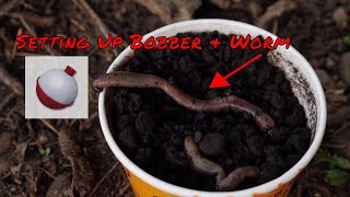 Trout Fishing Worms  How To Set Up Bobber amp Worm For Trout Fishing Lakes Or Ponds [upl. by Enerual]