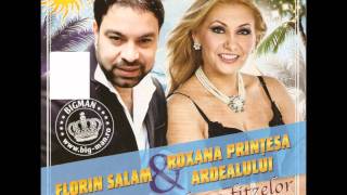 Florin Salam si Roxana Printesa Ardealului  Am acasa un tablou 2011 [upl. by Adigun805]