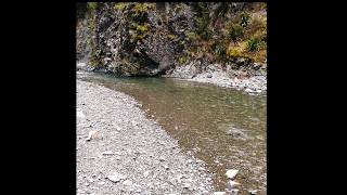 Mountain Small Stream Fly Fishing Oct 2019 troutfishing [upl. by Nomma]