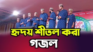 হৃদয় শীতল করা গজল  vairal gojol 2024  new gojol  bangla gojol [upl. by Zerk685]