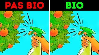 Les Aliments Bio  Régime Sain ou Grand Mythe [upl. by Jansson]