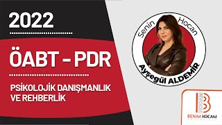 23 ÖABT PDR  Psikolojik Danışma Kuramları 23  Ayşegül ALDEMİR  2022 [upl. by Aerbua774]