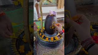 Kameshwar Mahadev kameshwar mahadev bholenath harharmahadev omnamahshivaya ytshorts [upl. by Dedric680]