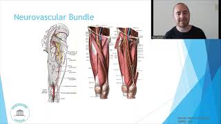 Osteopathic Considerations Hip Internal Rotation [upl. by Russom]