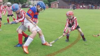 Primary School Shinty World Cup [upl. by Sitra]