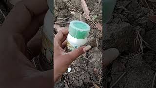 Azoxystrobin 182 Difenoconazole 114 fungicide use in hindi magnite fungicide [upl. by Shepperd246]