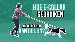 EcollarTeletac gebruiken voor wandelen zonder trekken [upl. by Joseph]