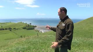 Te Rau Puriri Regional Park – an introduction  Auckland Council [upl. by Erodasi515]