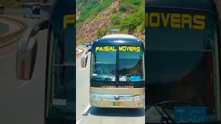 🚌 FAISAL MOVERS youtubeshorts virlvideo virlshort automobile growupmyaccount [upl. by Bannerman]