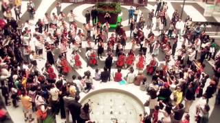 The very first time for flash mob concert by kids 世上第一場孩童音樂快閃 [upl. by Ulberto]