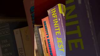 The hype and the embarrassment infinite jest david foster wallace [upl. by Jacky]