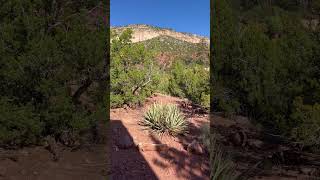 29Sept2024  Birdsong at Jemez Valley New Mexico [upl. by Bicknell]