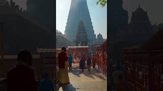 ஓம் நமசிவாய l Sivan Video sivan shiv Tiruvannamalai annamalaiyar girivalam arunachalam lord [upl. by Eelaroc]