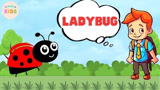 Ladybug Facts For Kids 🐞 Learn All About Ladybugs  MON Kids [upl. by Salangi]