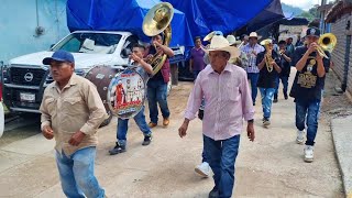 🔥🎺 Recorriendo las calles de San José Lagunas Guerrero con la banda de Alpoyecancingo [upl. by Alrich117]