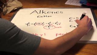 Alkanes Alkenes Alkynes of Fun [upl. by Aneladdam]