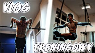 CALIPROJECT GYM VLOG TRENINGOWY  STREET WORKOUT [upl. by Nelson]