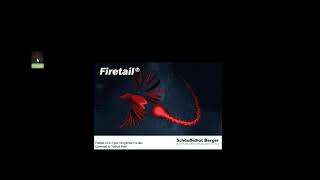 Firetail  Tutorial Series 01  Basics [upl. by Ingham126]