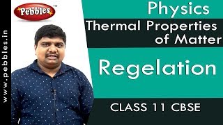 Regelation  Thermal Properties of Matter  Physics  Class 11  CBSE [upl. by Arze175]