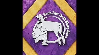 Northeast Youth Sheep Show  RING 3 Sunday July 21 2024  800 AM [upl. by Cousin592]