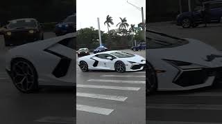 Bull RUN 2024  Lamborghini Miami [upl. by Tommi236]