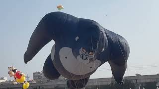 Kite Flyting Festival Hyderabad [upl. by Neelloc432]