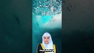 سورة القارعة  تلاوة تفيض جمالا  أرح سمعك وقلبك علي اليوسف Ali AlYoussefi Surah AlQariah [upl. by Wasson]