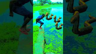 Snake 🐍🐍 Anaconda videos anaconda snake shorts video saamp cartoonyoutube [upl. by Uv326]