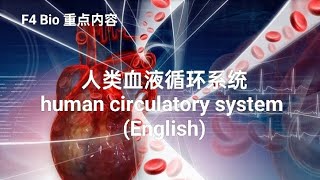 F4 Bio human circulatory system 人类血液循环系统 ［英文版］ [upl. by Ecirtnom]