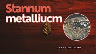 Stannum metallicum  HERF  Right Homeopathy [upl. by Fachini]